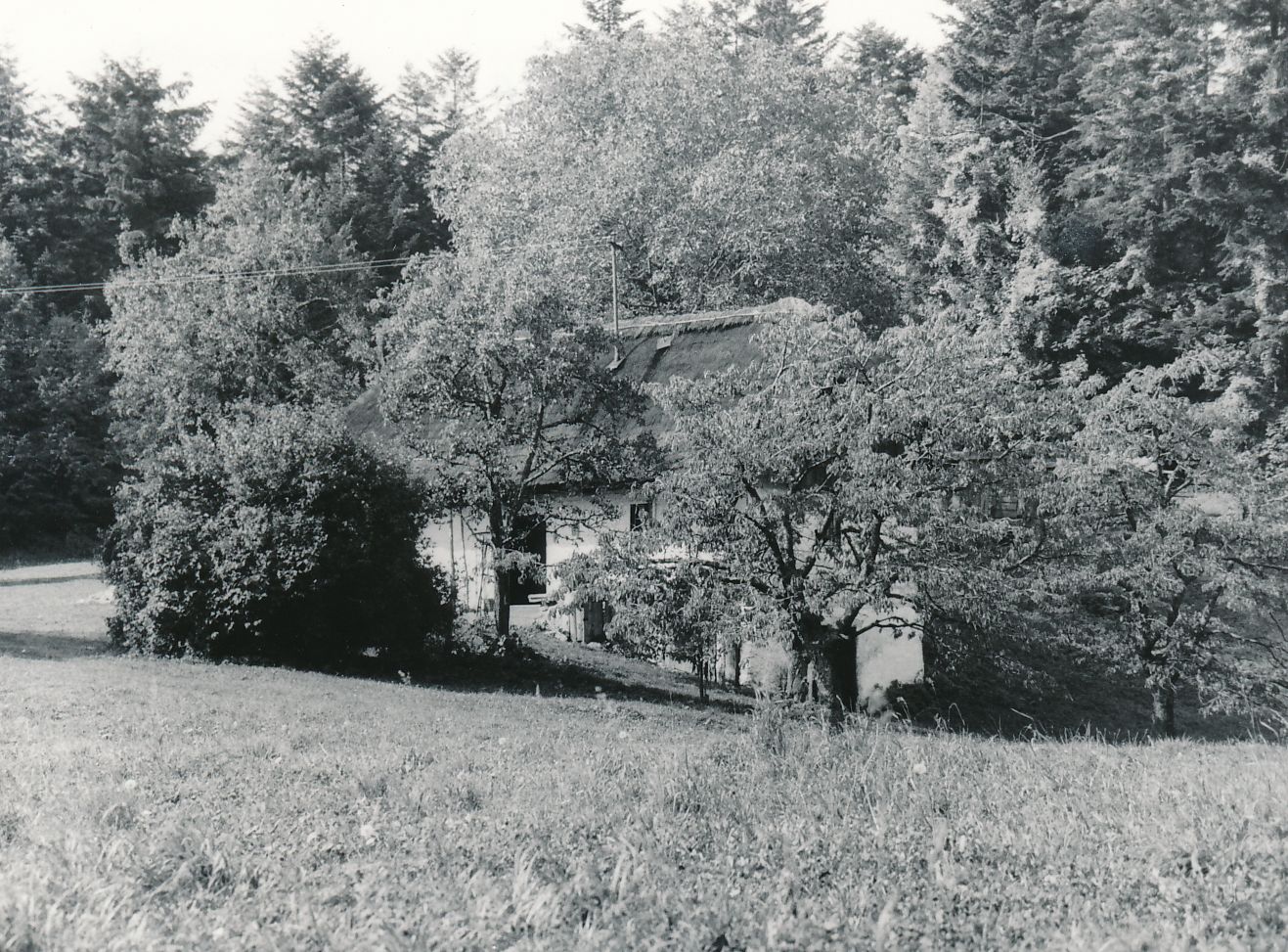 eika image